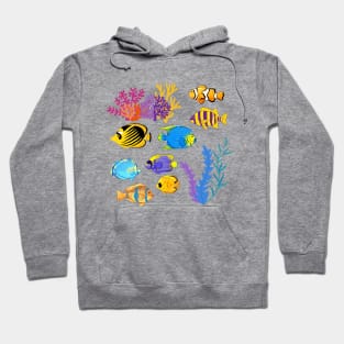 A story of the sea, a tropical fish Hoodie